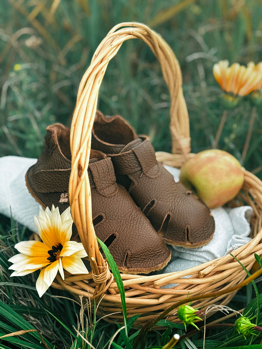 Zippy Summer Bears