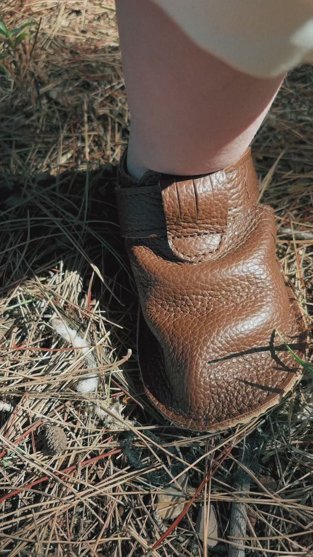 Classic Sandy Bears